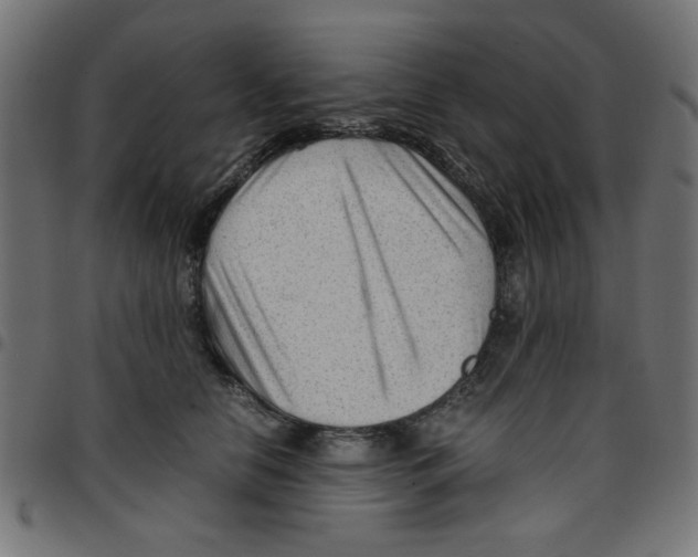 X0000096940658200803071007