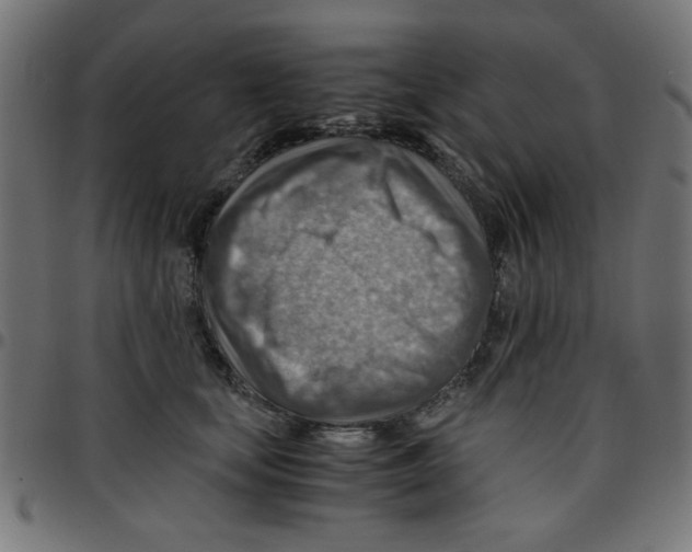 X0000096940659200803071007