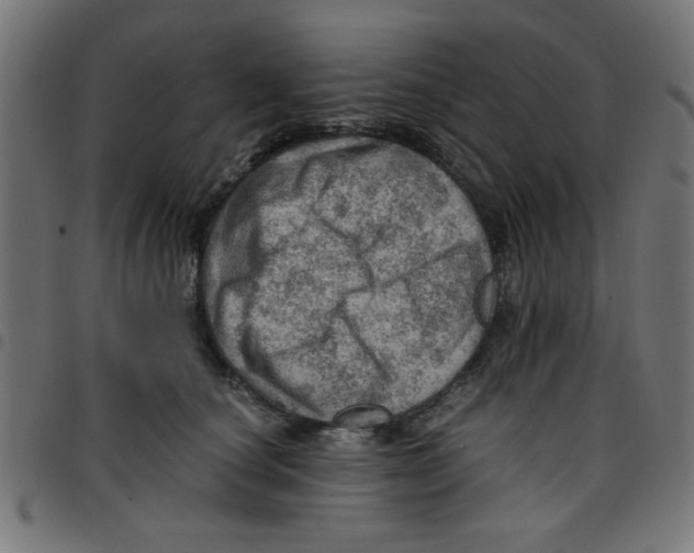 X0000096940660200803071007