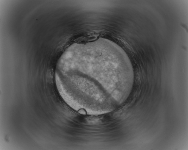 X0000096940661200803071007