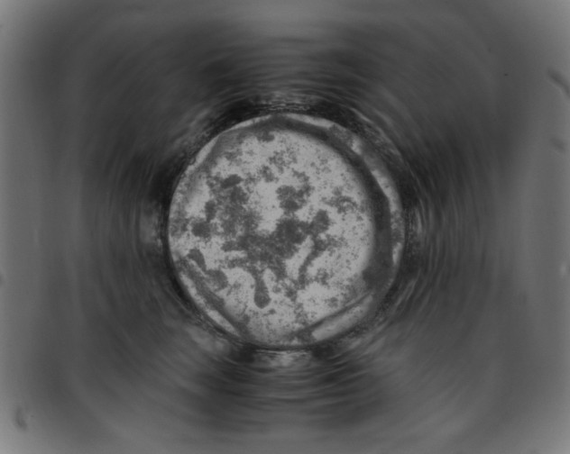 X0000096940663200803071007