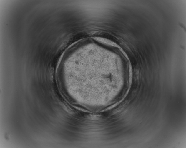 X0000096940664200803071007