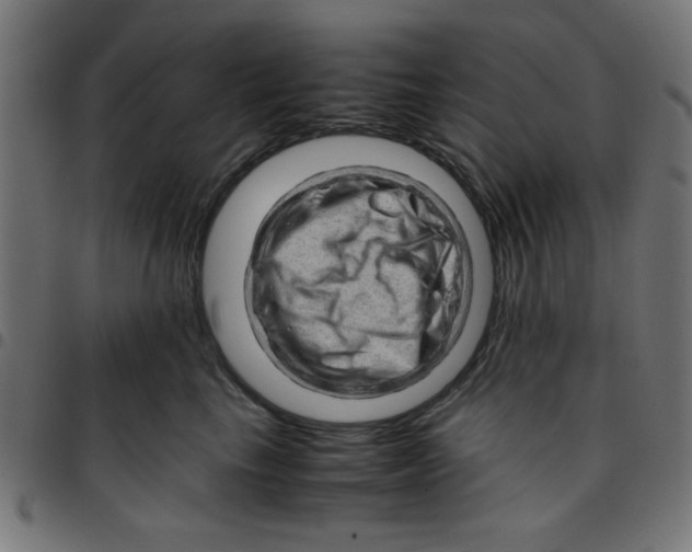 X0000096940665200803071007