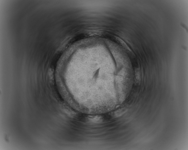 X0000096940667200803071007