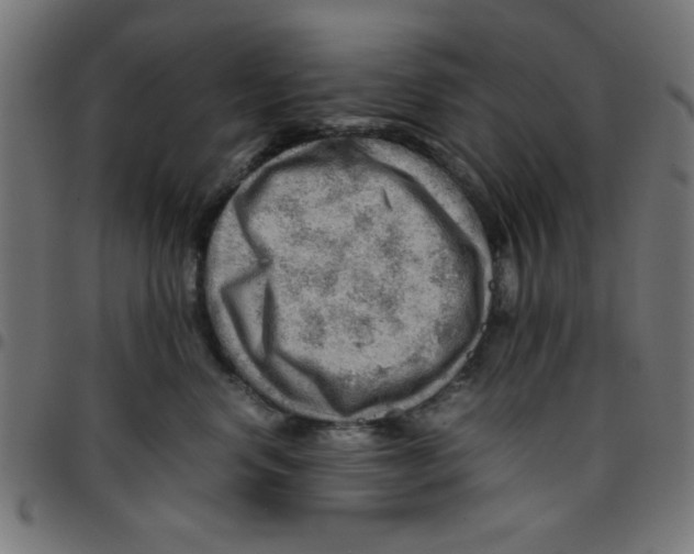 X0000096940668200803071007