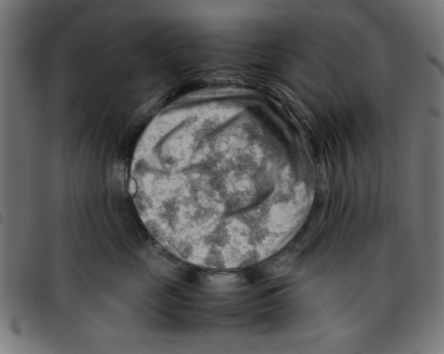 X0000096940669200803071007