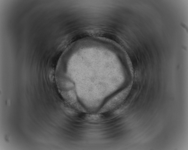 X0000096940671200803071007
