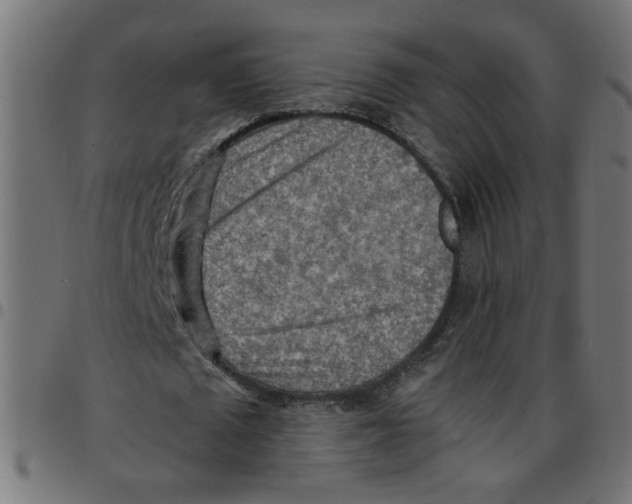 X0000096940673200803071007