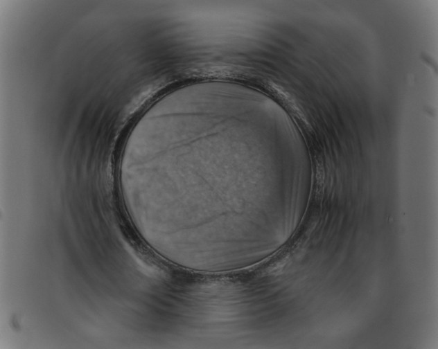 X0000096940674200803071007