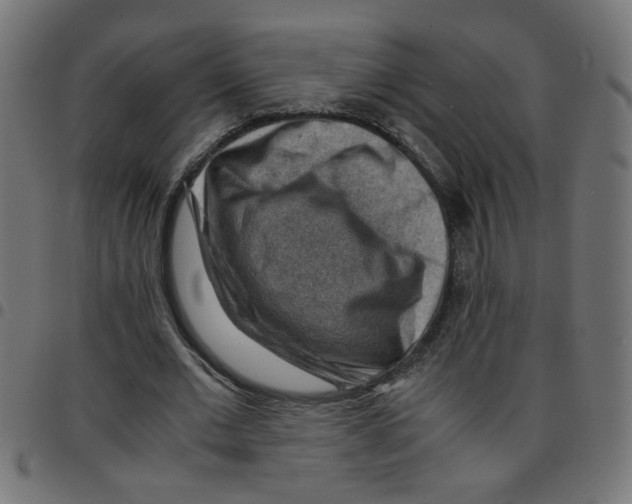 X0000096940677200803071006