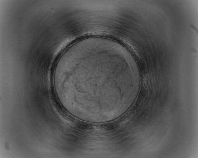 X0000096940678200803071006