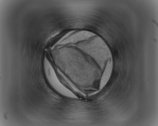 X0000096940681200803071006