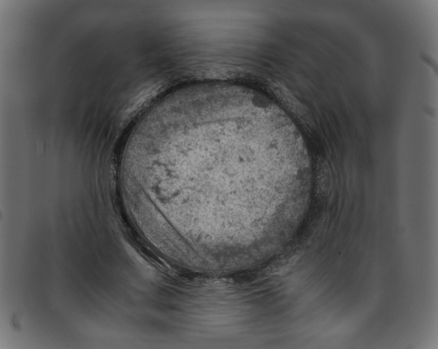 X0000096940683200803071006