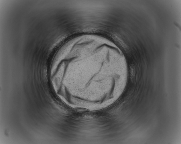 X0000096940684200803071006