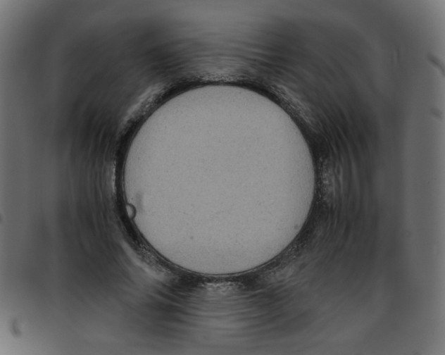 X0000096940686200803071006