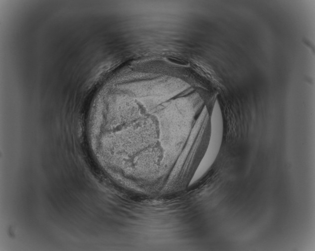 X0000096940687200803071006