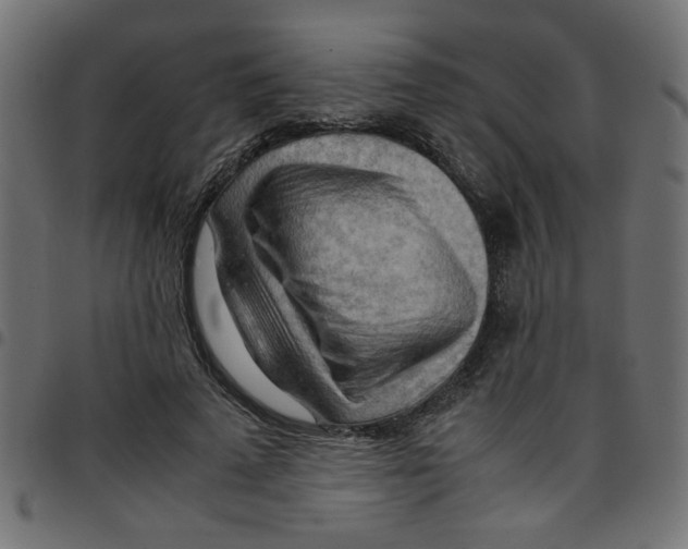 X0000096940689200803071006