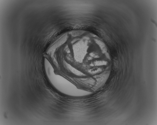 X0000096940691200803071006