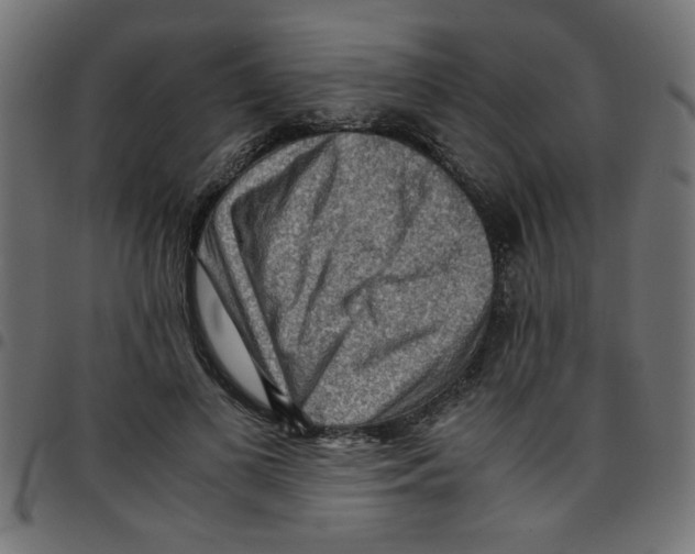 X0000096940693200803071006