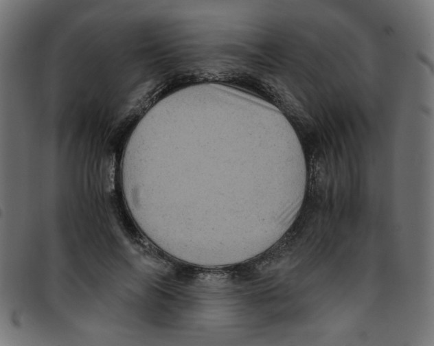 X0000096940694200803071006