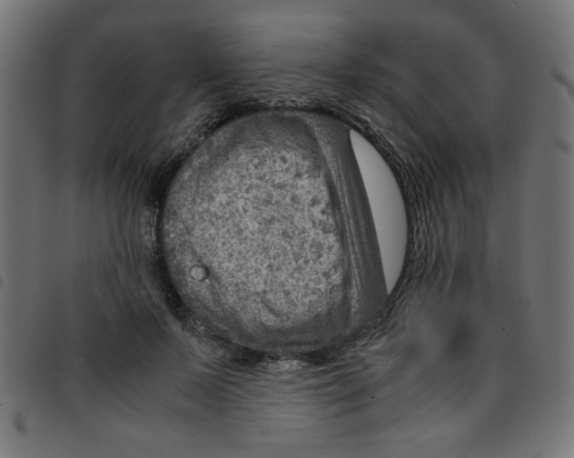 X0000096940695200803071006