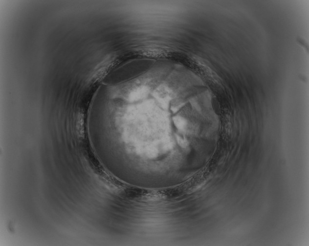X0000096940696200803071006