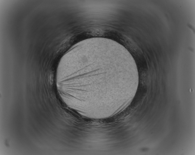 X0000096940697200803071006