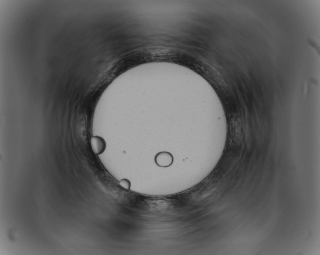 X0000096940698200803071006