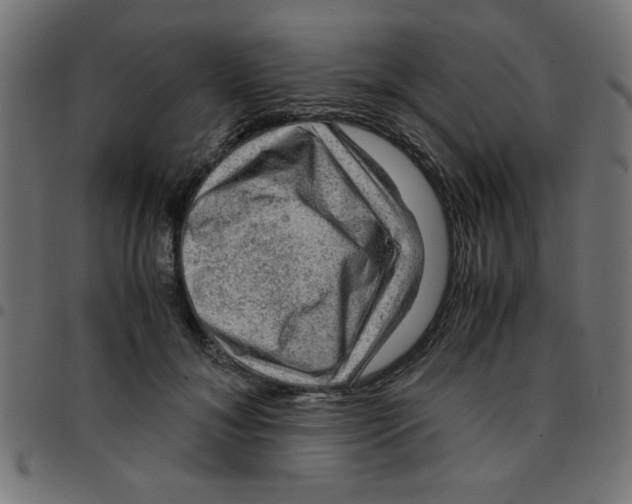 X0000096940700200803071006