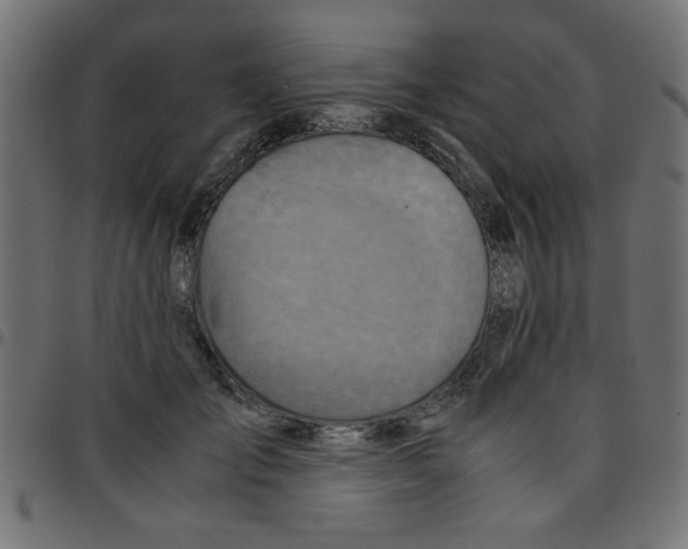 X0000096940701200803071006