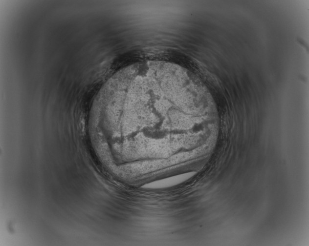 X0000096940703200803071006