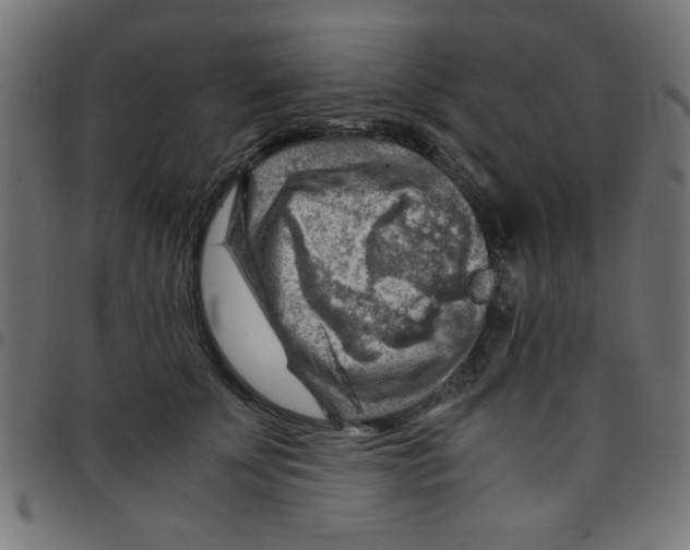 X0000096940707200803071006