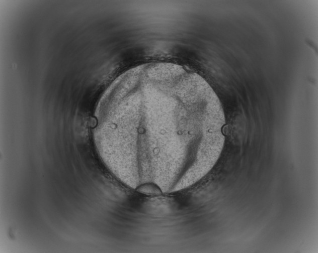 X0000096940708200803071006