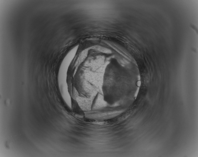 X0000096940711200803071006