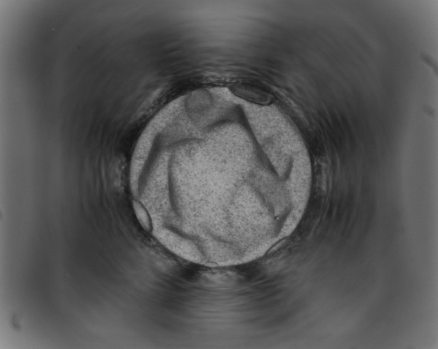 X0000096940712200803071006