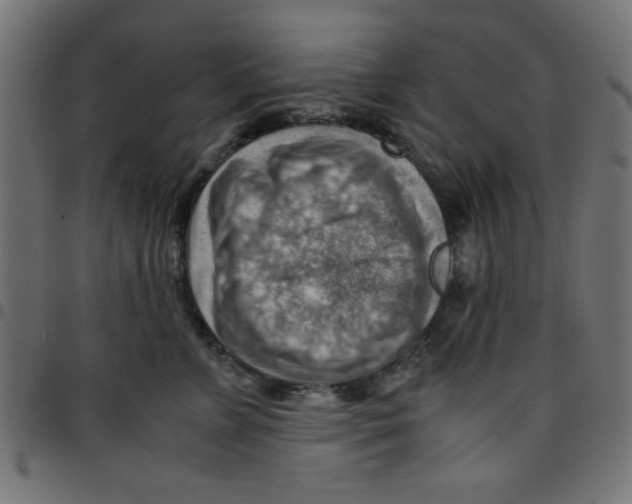 X0000096940715200803071006