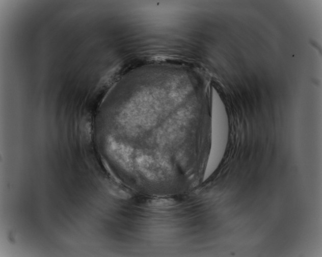 X0000096940716200803071006