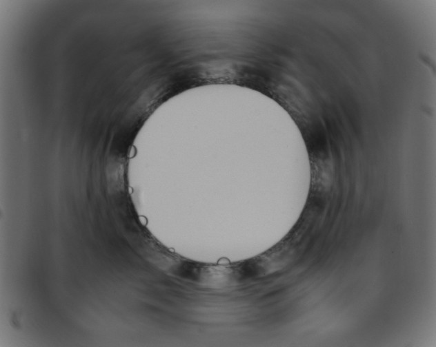 X0000096940717200803071006