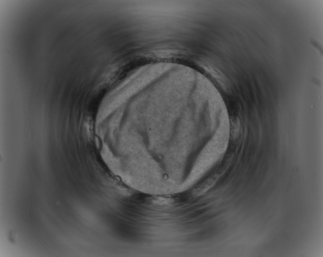 X0000096940718200803071006
