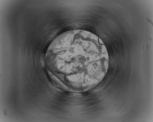X0000096940719200803071006