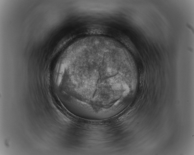 X0000096940722200803071005