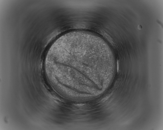 X0000096940723200803071005