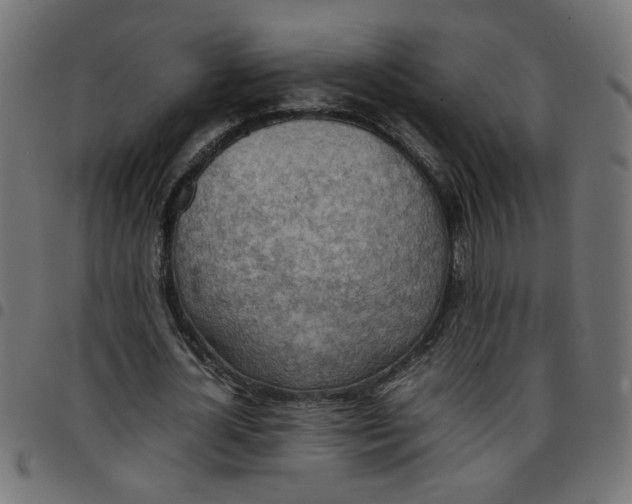 X0000096940724200803071005