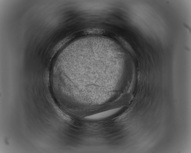 X0000096940725200803071005