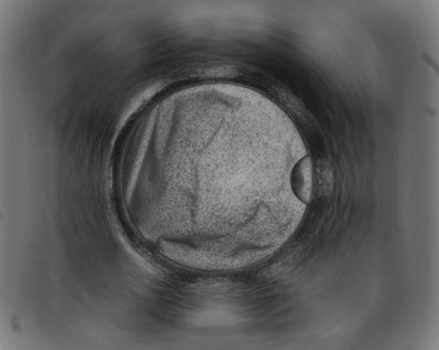 X0000096940726200803071005