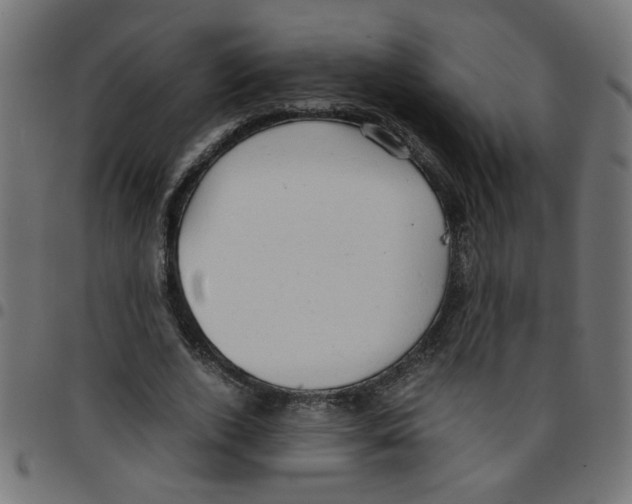 X0000096940728200803071005