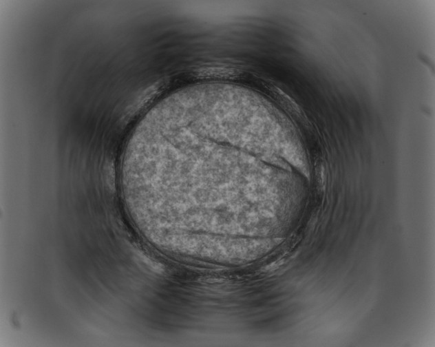 X0000096940729200803071005