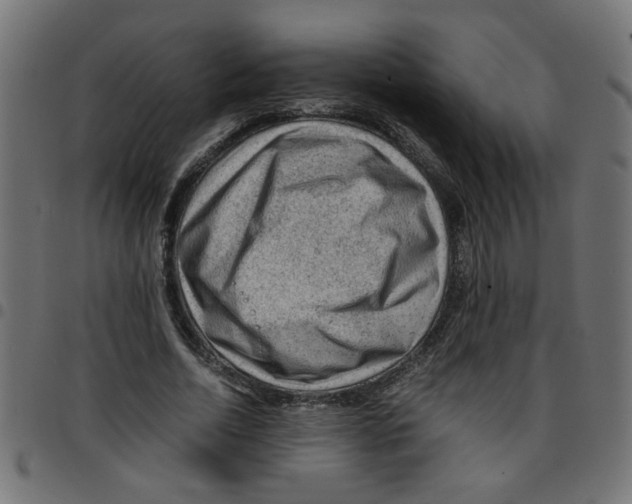 X0000096940730200803071005