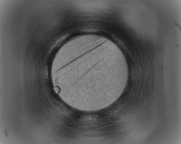 X0000096940731200803071005