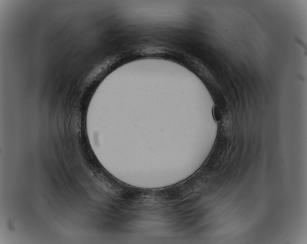 X0000096940732200803071005
